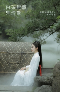 [YITUYU艺图语]2022.02.03 白茶无事别清欢 一方伊人yi[24+1P／212MB]