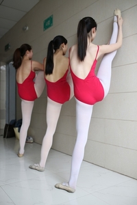 大西瓜爱牙膏 W016 舞蹈家6-红衣三姐妹 [220P+1082M]