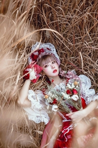 Coser@阿包也是兔娘 VOL.002 lolita红裙1[12P／160MB]