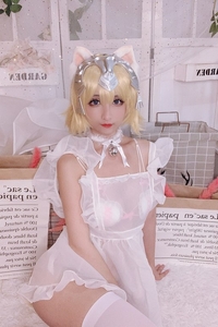 Rioko凉凉子 VOL.015 白贞德女仆 [17P-53MB]